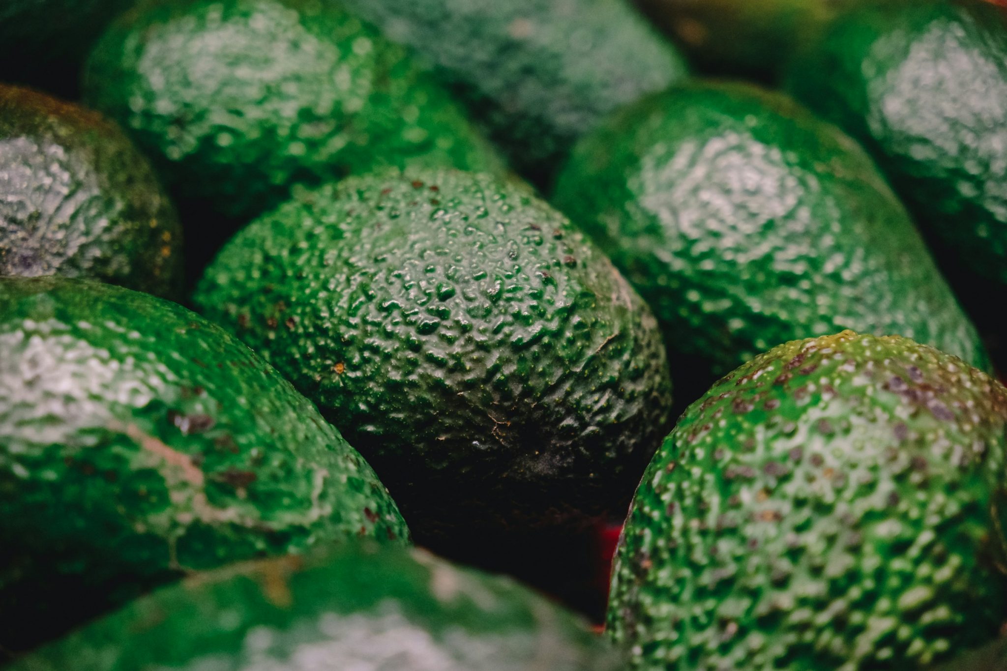 El Mayor Exportador De Aguacate En El Mundo Datos Actualizados